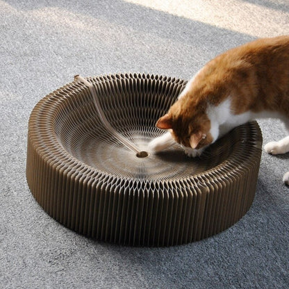 Magic Organ Cat Scratching Board