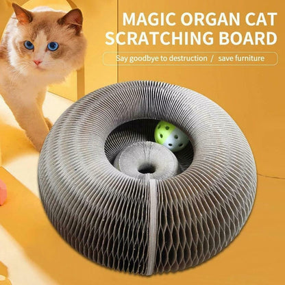 Magic Organ Cat Scratching Board